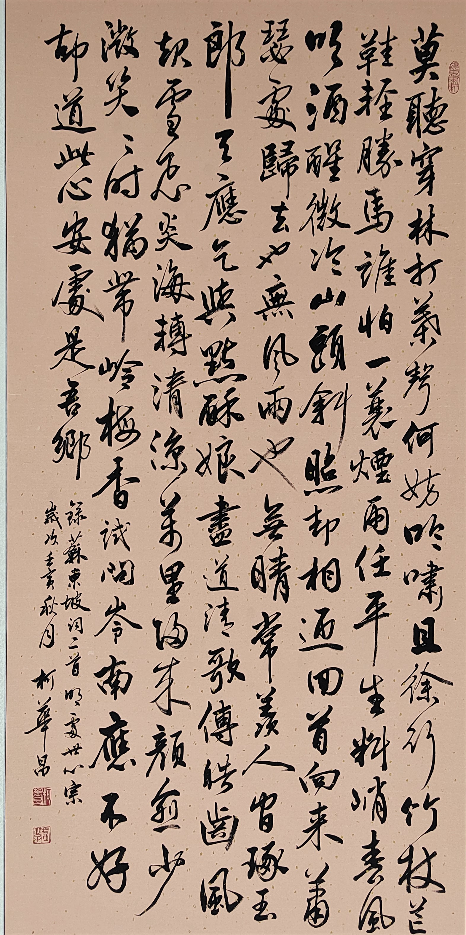 青浦区 柯华昌 苏东坡诗词二首.jpg